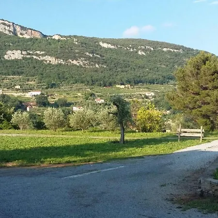 I Campi Di Lino *